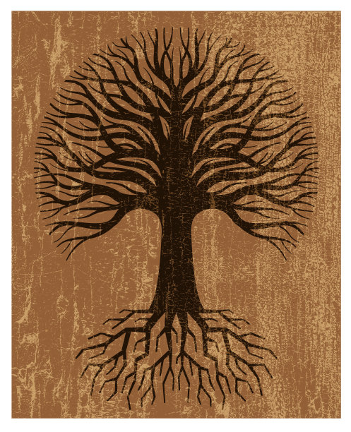 剥落的油漆、大树和树根图片下载