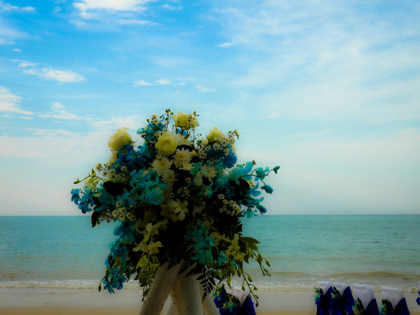 寇立海滩举行婚礼图片下载