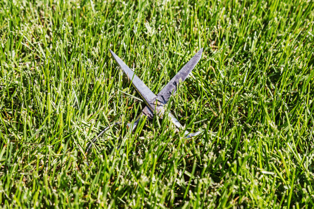 剪刀在草地上图片下载