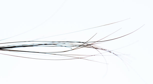 宏观的深色女人的发丝图片下载