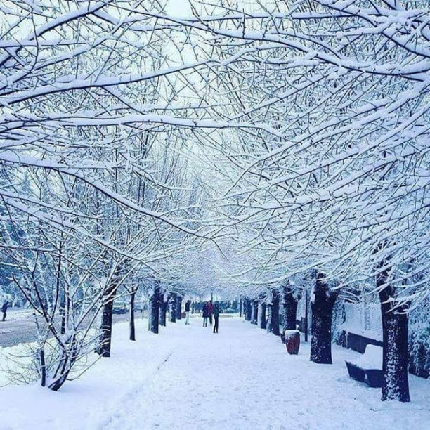 大自然的魔力图片下载