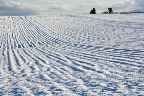 雪地图片素材ID：304343256