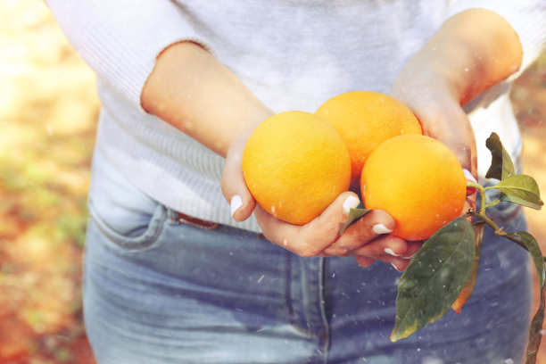 一个在柑橘种植园里采摘橘子的女人的乡村形象。葡萄酒过滤后的照片。图片下载