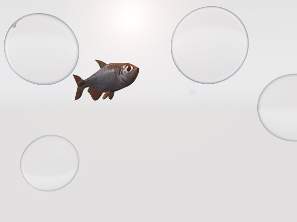 空白空间中的鱼和泡泡图片下载