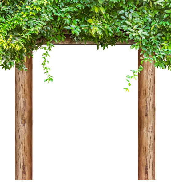 自然馆休息图片下载