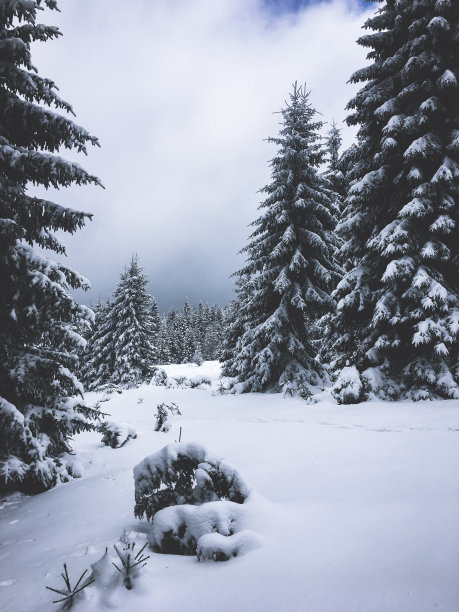 白色的风景图片下载
