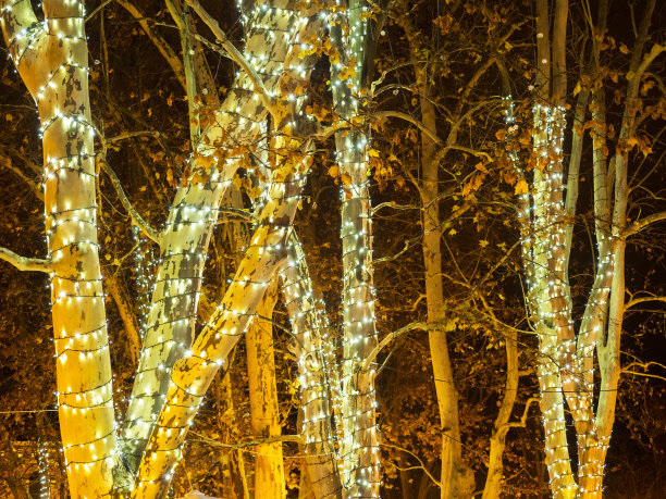 圣诞灯照片素材专题