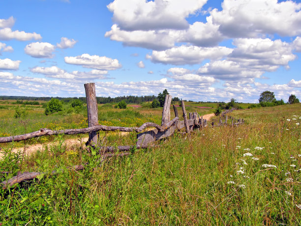 道路附近的田野上的旧篱笆图片下载