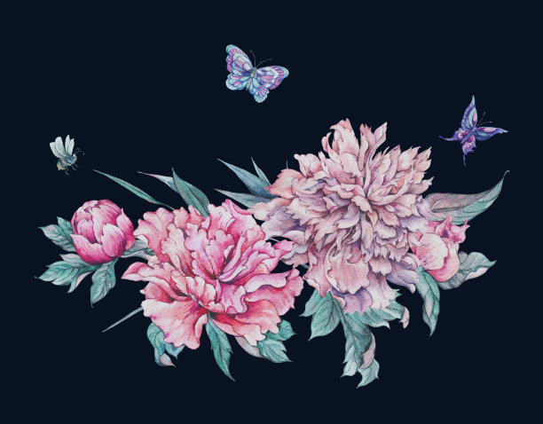 水彩画粉红色盛开的牡丹素材图片