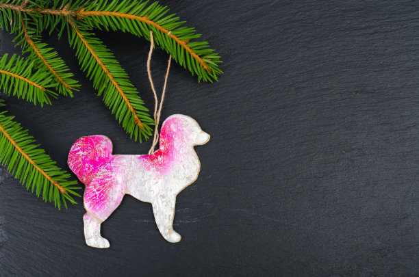 旧苏联纸玩具图片下载