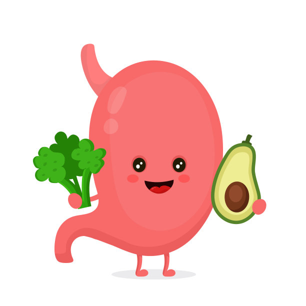 强壮健康快乐的胃性格图片下载