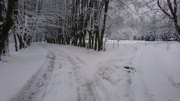 冰冻的森林道路上有汽车轮胎的痕迹图片下载