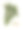 采购产品隐花植物，藻类，地衣，苔藓，蕨类，维多利亚植物学插图图片下载