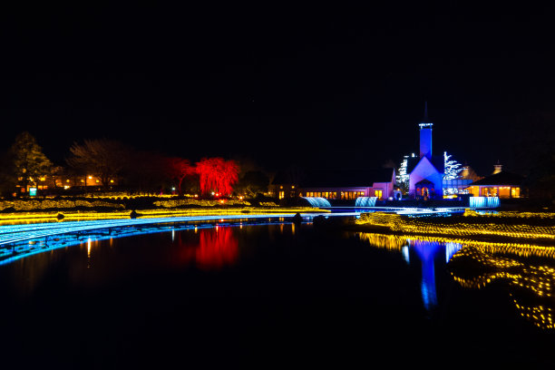 冬季照明灯。日本名古屋，Nabana no Sato。图片下载