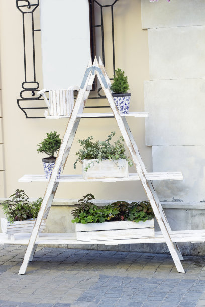 木架梯，花盆里有不同的植物图片下载
