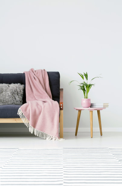 沙发图片素材ID：304386438