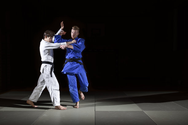 柔道训练系列图片下载