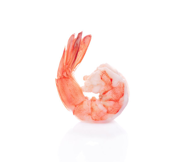 虾。白背景上孤立的对虾。海鲜图片下载