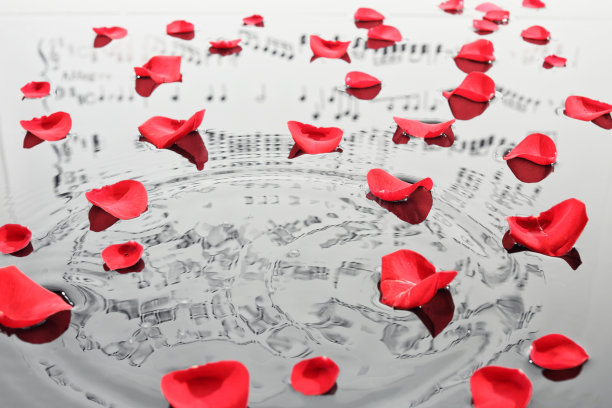 玫瑰花瓣照片素材ID：304401108