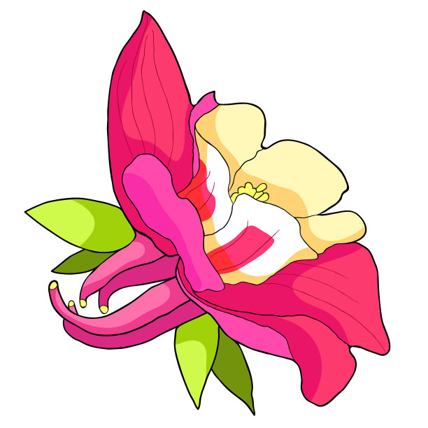 aquilegia花正在盛开。矢量图图片下载