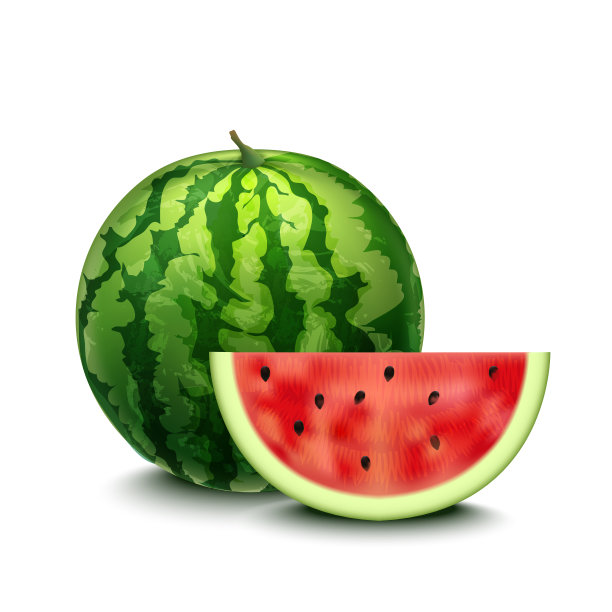 真实详细的3d整个西瓜和切片。向量素材图片
