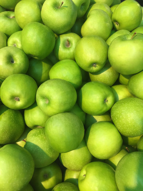 标准苹果背景素材图片