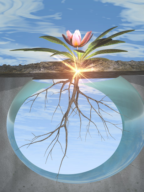 根和增长图片下载