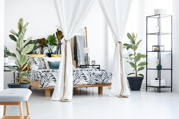 室内有植物的花卧室素材图片