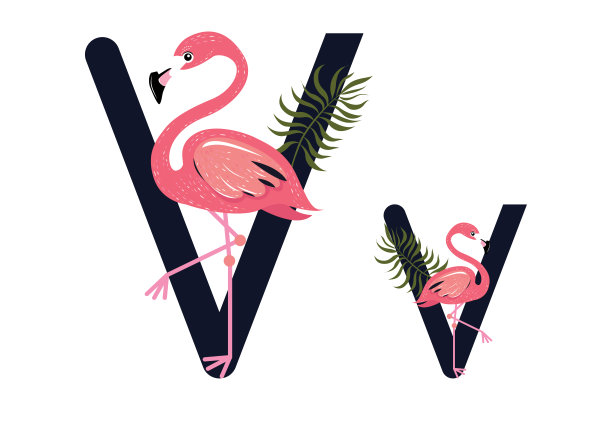火烈鸟，字母，字母A-Z热带鸟向量图片下载