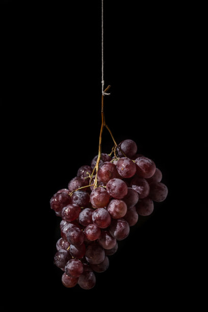 孤立的红葡萄图片下载