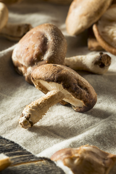 健康有机新鲜香菇图片下载