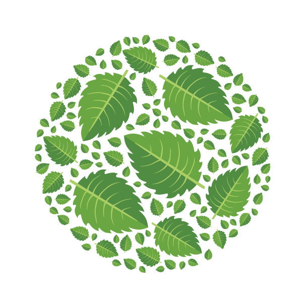 树上的绿叶呈圆形排列。设计元素，矢量插图，孤立在白色。图片下载