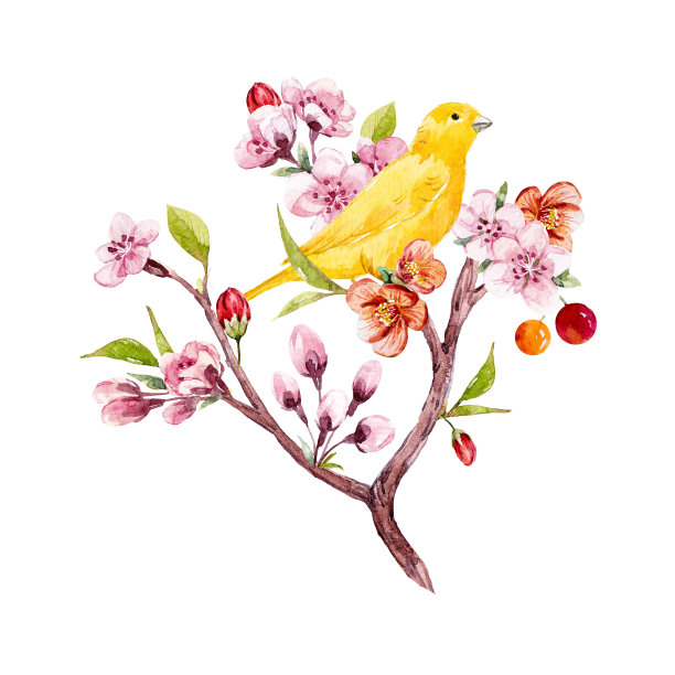 水彩花卉组成图片下载