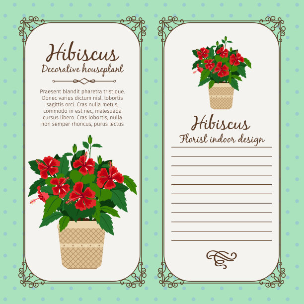 古董标签与木槿植物图片下载