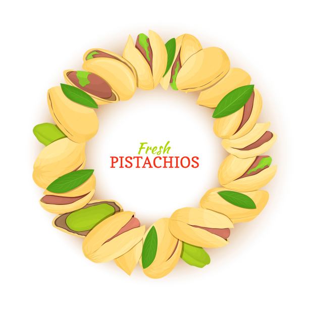 由开心果组成的圆形框架。矢量插图。榛子架、开心果壳、果壳、叶为包装设计食品、黄油、开心果油、化妆品膏霜。图片下载