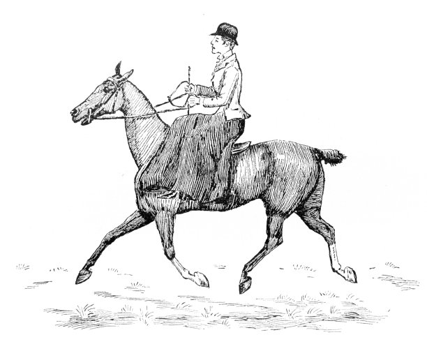 快步马素材图片