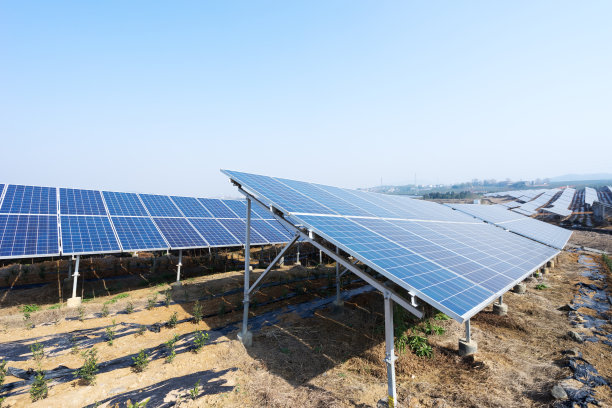太阳能电池板在野外素材图片