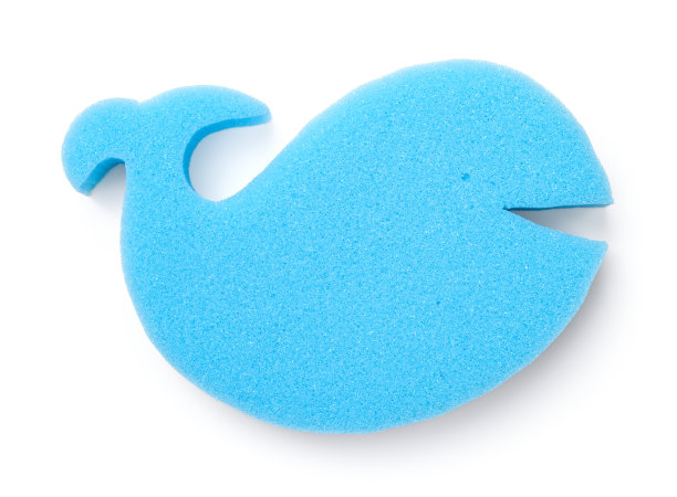 海绵孤立在白色背景图片下载