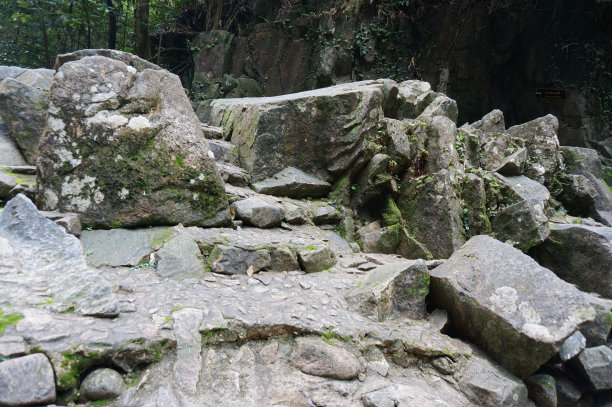 森林里的岩石照片图片下载