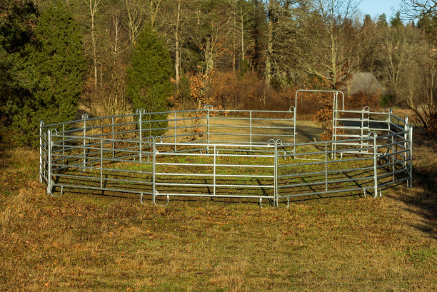 笔在森林图片下载