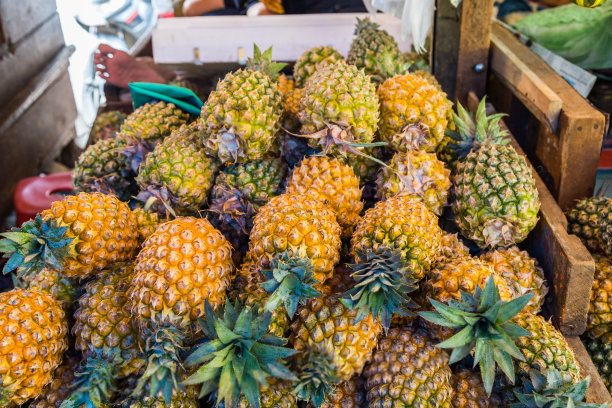 新鲜菠萝特写图片下载