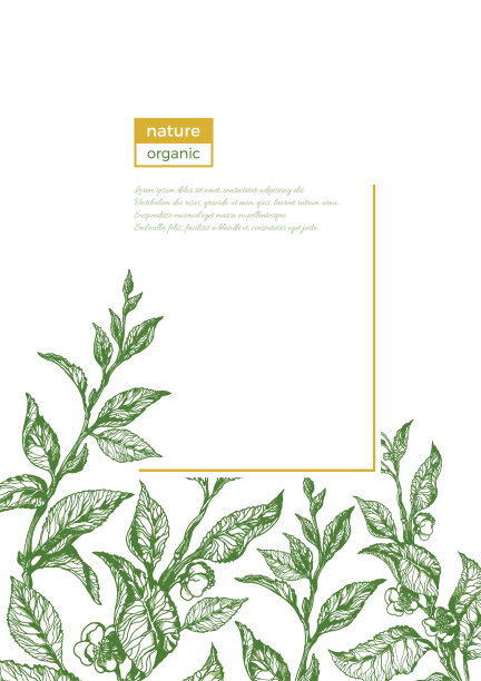 茶枝矢量模板素材图片