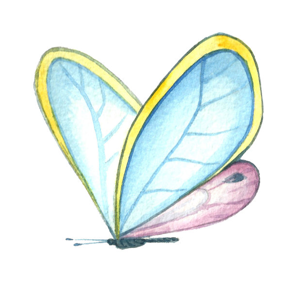 蝴蝶插画素材ID：304496334