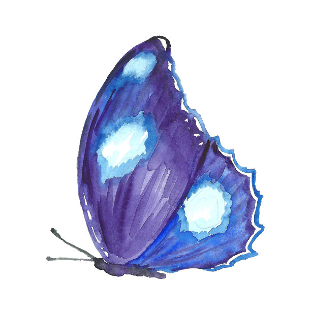 蜻蜓的水彩插画素材图片