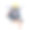 小狗、小狗、玩具小猎犬戴着金帽子孤立。狗的画像。女士们,先生们。二元性的概念。戴着帽子的玩具梗。图片下载
