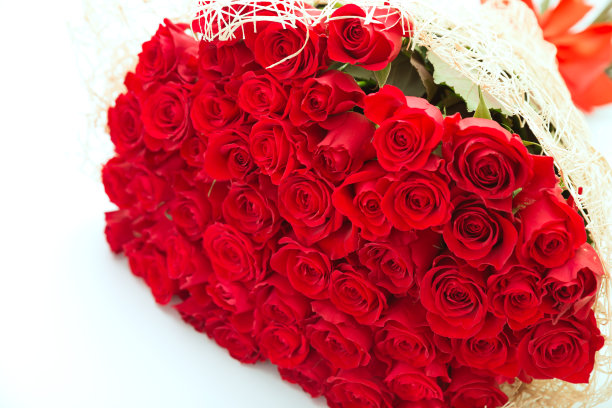一大束红玫瑰图片下载