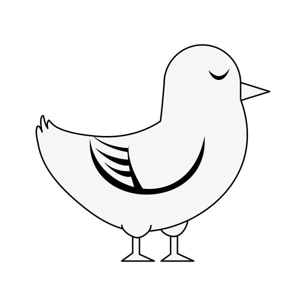 鸽子可爱的鸟素材图片