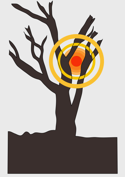 秋天的橘树伴着阳光图片下载