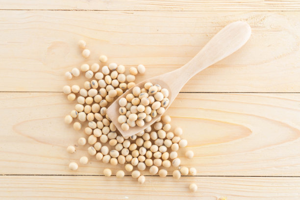 大豆图片素材ID：304528920