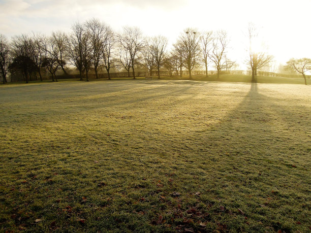 冷淡的景观。图片下载